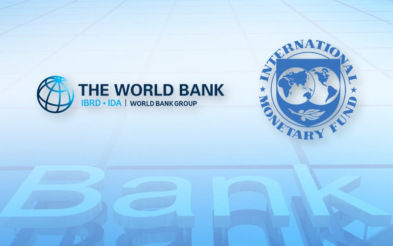 Challenges Faced By Imf And World Bank