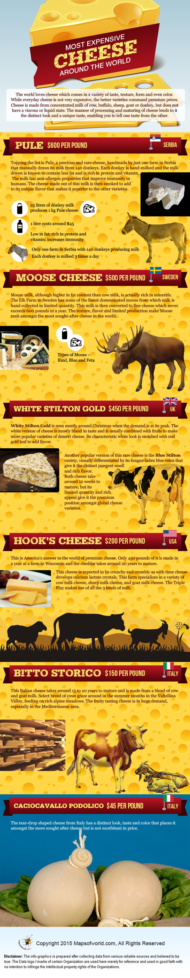Infographics on Most Expensive Cheese around the World