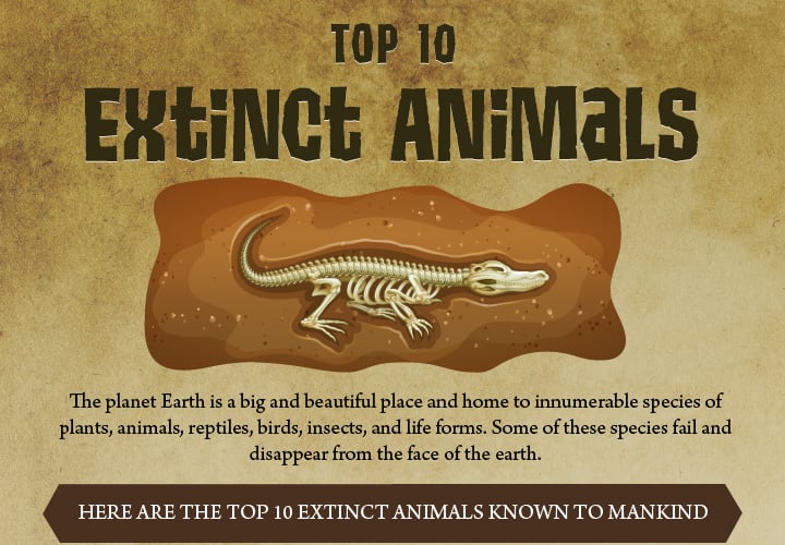 Top 10 Extinct Animals Around The World