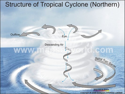 Structure of A Tropical Cyclone(Northern)