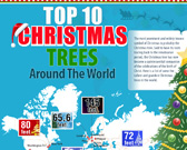 Infographic on Biggest Christmas Trees