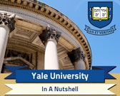Yale University Infographic
