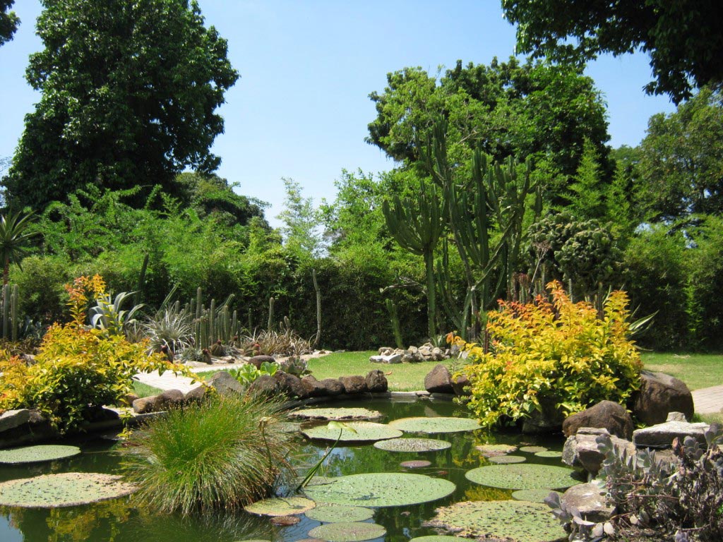 Jardim Botânico Rio de Janeiro Botanical Garden