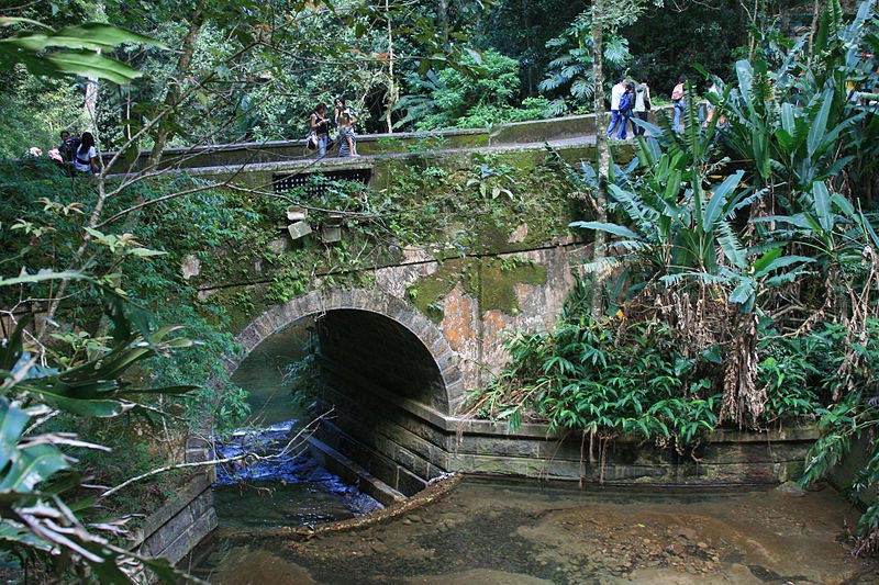 Tijuca Forest, Rio de Janeiro, Brazil - Travel Info, Facts, Location Map
