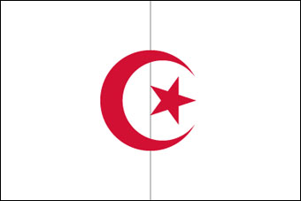 Blank Algeria Flag