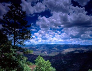 Copper Canyon is a system of canyons in northern Mexico, which were formed from several rivers that eventually all flow into the Rio Fuerte.