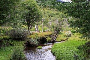 Tierra del Fuego National Park