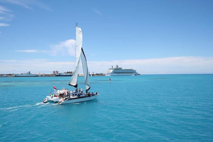 A Natural Landscape from Bermuda