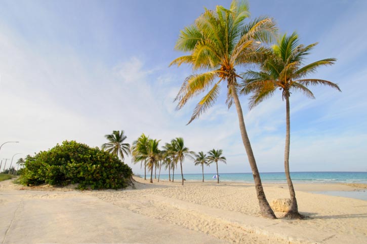 A Picture of Tropical Beach Paradise at Santa Maria, Cuba