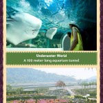 Pattaya Travel Infographic
