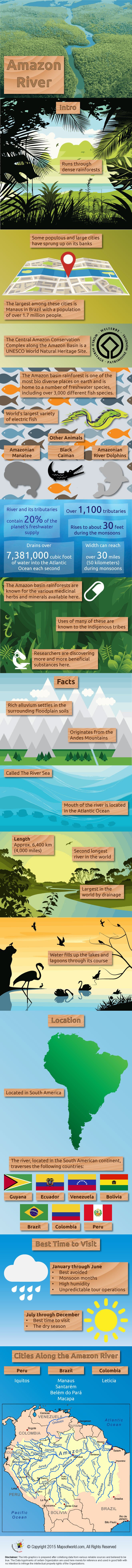 Amazon River Infographic