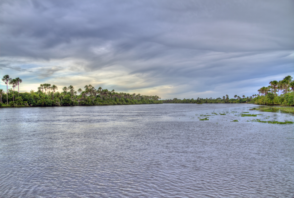 Amazon River Travel Information Map Facts Location Best Time To Visit