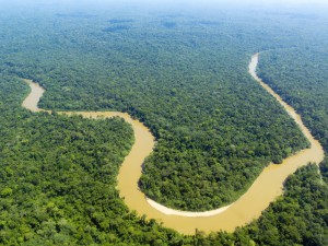 Amazon River, South America