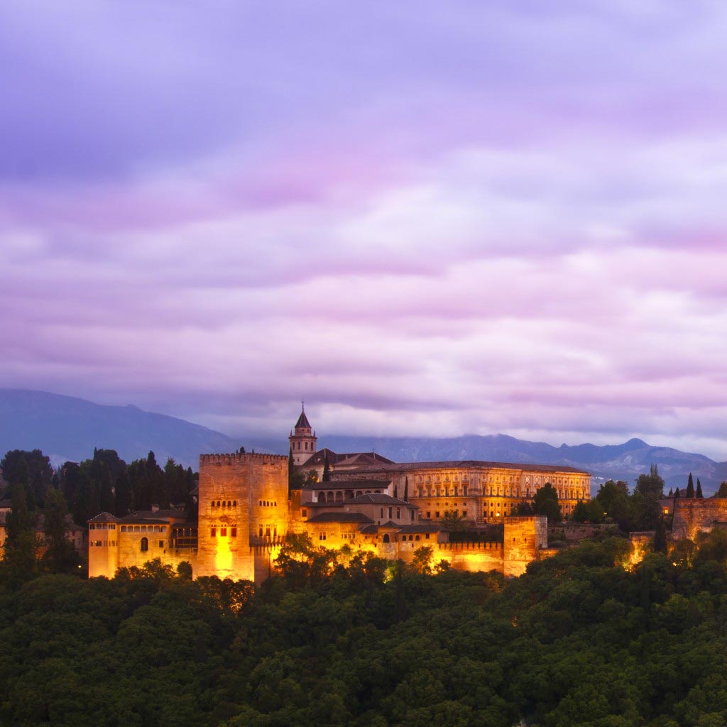Alhambra Palace image