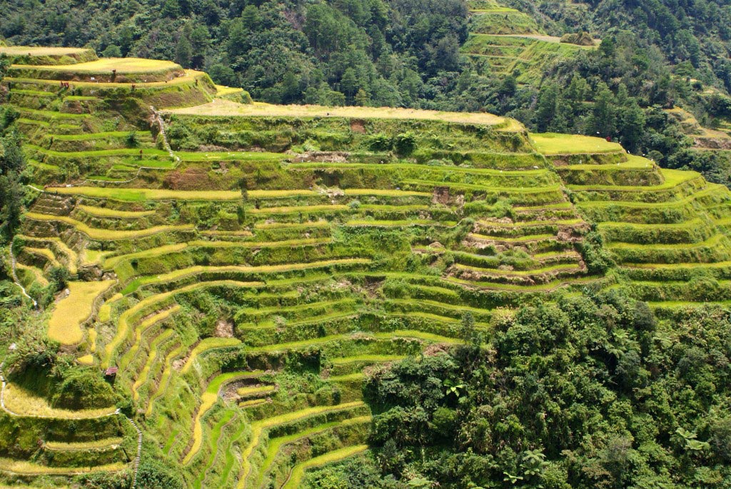 Banaue Rice Terraces, Philippines - Map, Facts, Location, Information