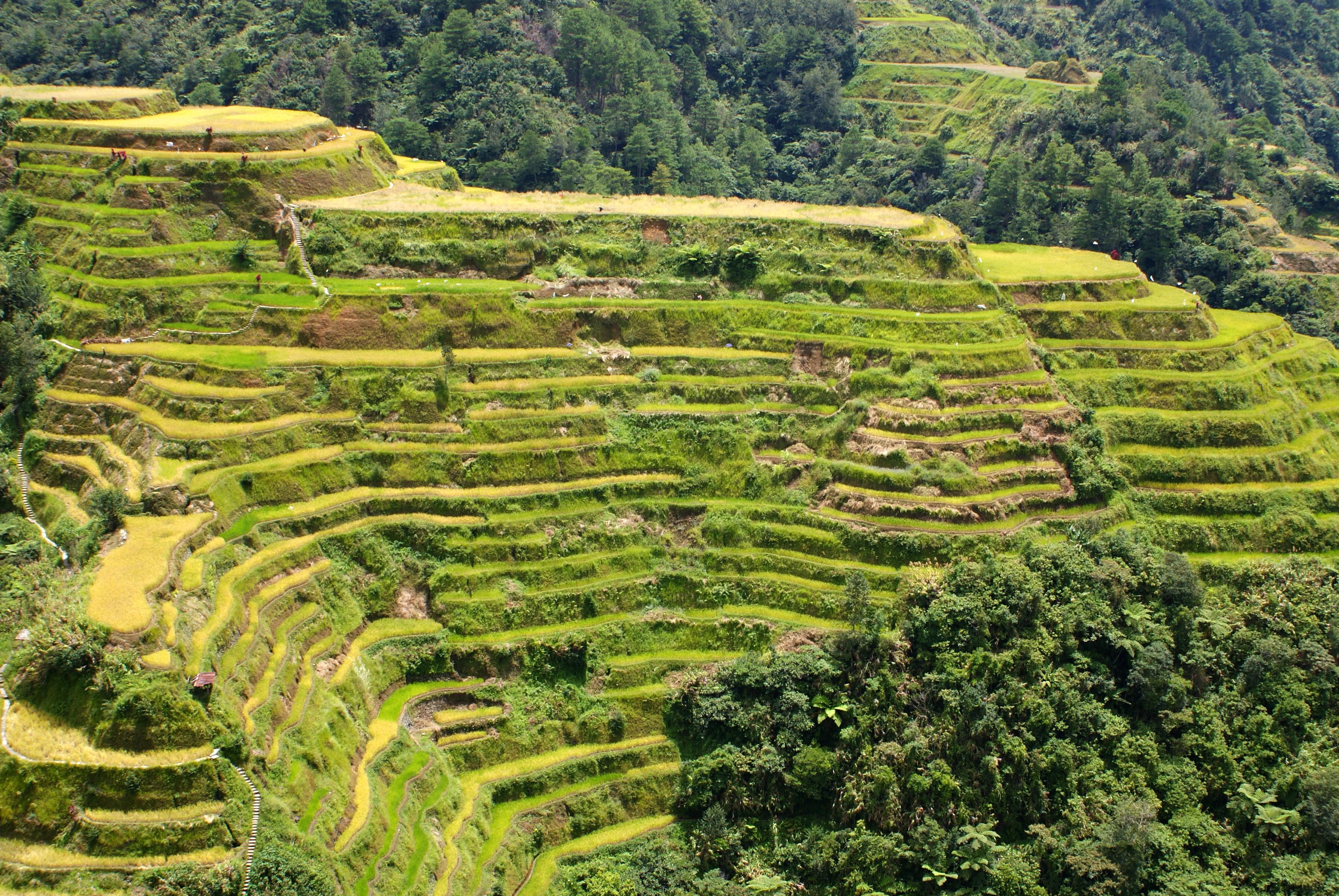 Banaue Rice Terraces Philippines Map Facts Location Information