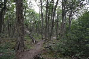 Tierra del Fuego National Park Hiking