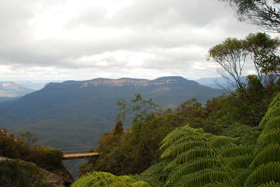 Blue Mountains Pictures