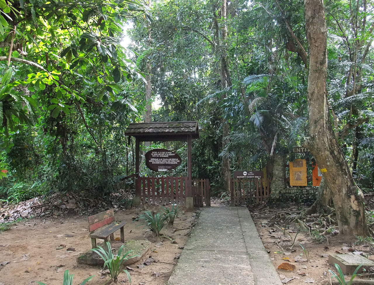 Taman Negara National Park, Malaysia - Activities, Accommodation