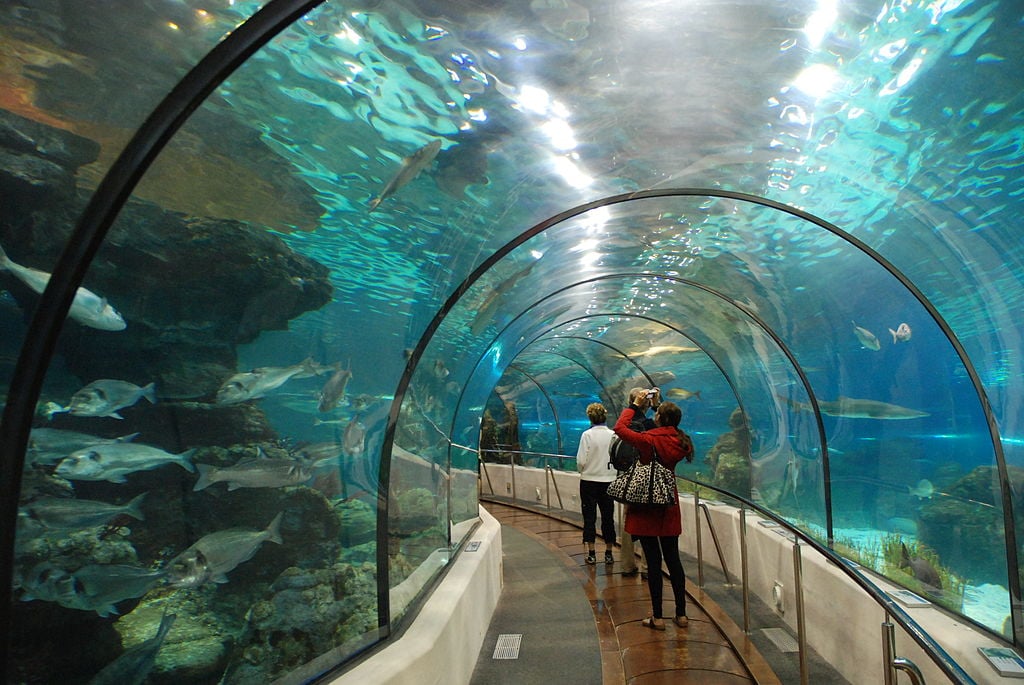 Underwater World Singapore, Sentosa Island