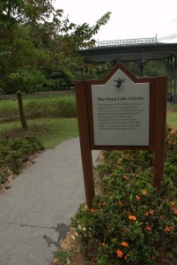 Singapore Botanical Garden