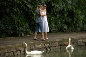 Singapore Botanical Garden