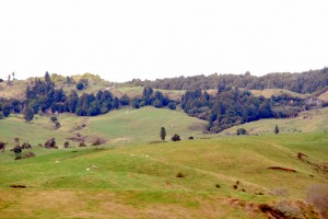 Taupo, New Zealand