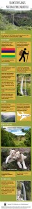 Black River Gorges National Park Infographic