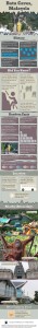 Batu Caves Infographics