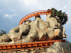 Anaconda Roller Coaster Ride