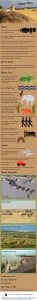 Masai Mara National Reserve Infographic