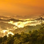 Amazon Rainforest Travel Information