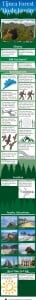 Tijuca Forest Infographic