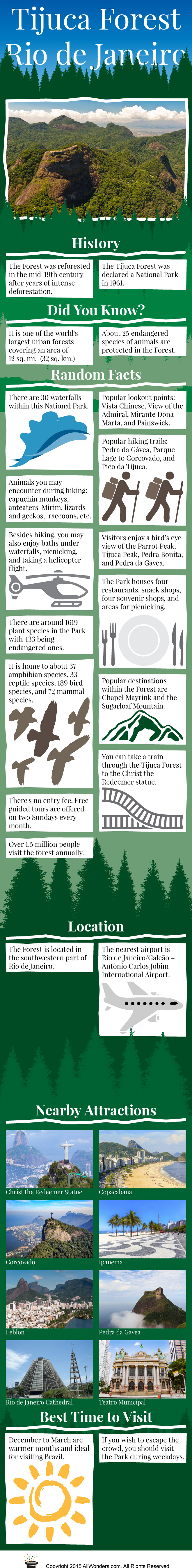 Tijuca Forest Infographic