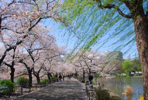 Ueno Park in Tokyo