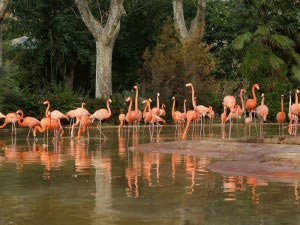 Barcelona Zoo, Spain