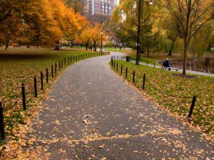 Boston Commons - a public park in Boston, Massachusetts