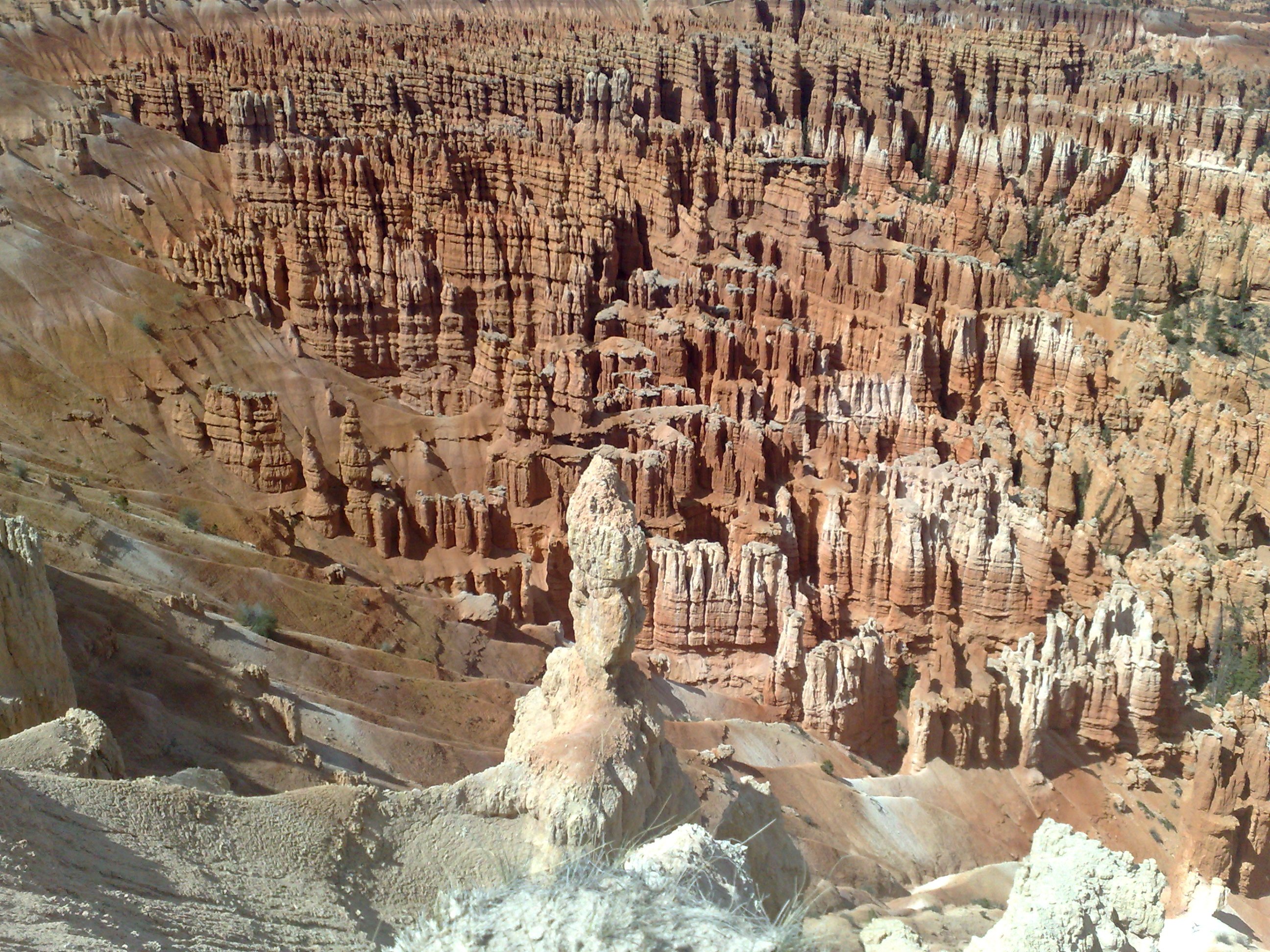bryce canyon hoodoos