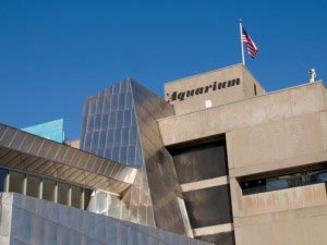 New England Aquarium