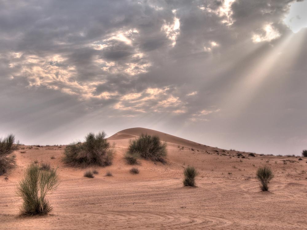 Rub Al Khali Desert