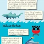 Sea World Australia Infographic