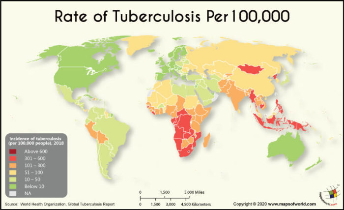 World Map Highlighting the Rate of Tuberculosis Per 100,000 People Across the Countries
