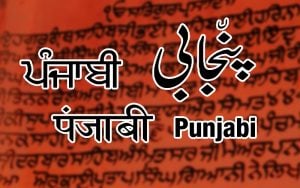 Punjabi has two major writing systems: Gurmukhi, which is a Brahmic script, and Shahmukhi, which is an Arabic script.