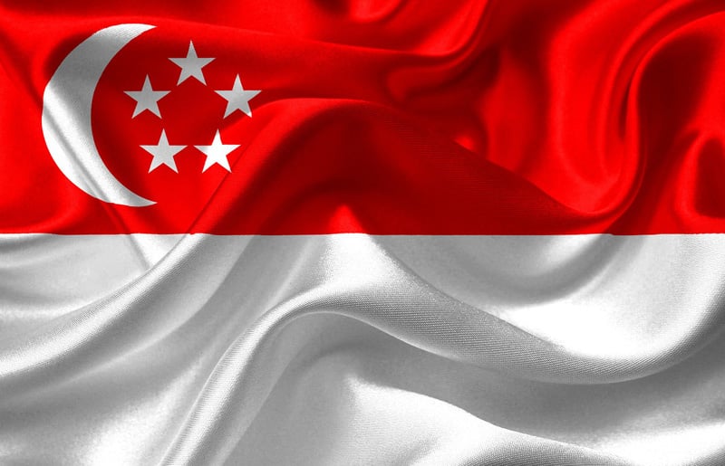 After Independence, Singapore Rapidly Developed From a Low Income Country to a High Income Country.