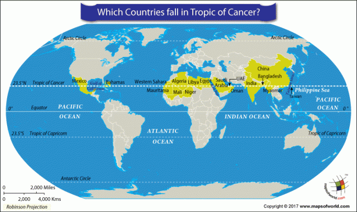what is the tropic of cancer about        <h3 class=