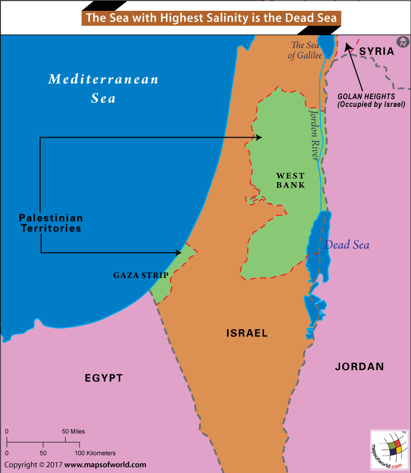 Dead Sea World Map Which is the Sea with the Highest Salinity?   Answers