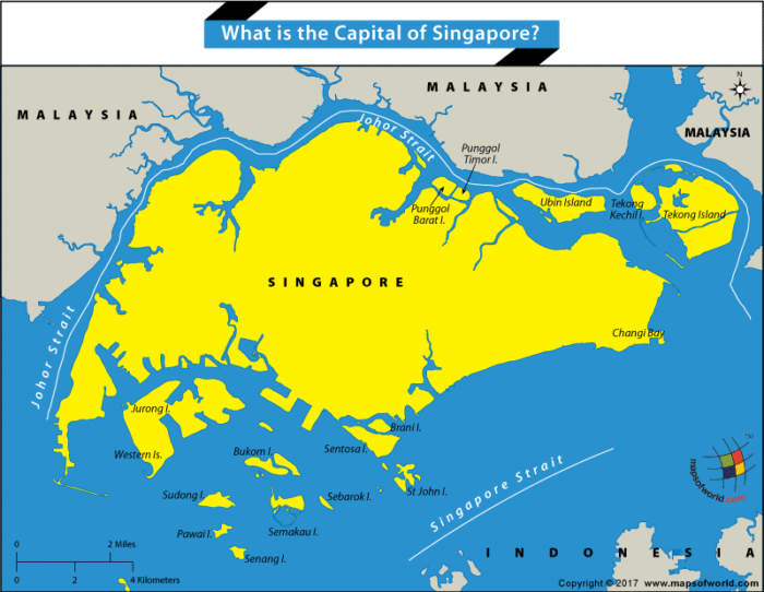 Ever since its independence, Singapore has developed into a global commerce.