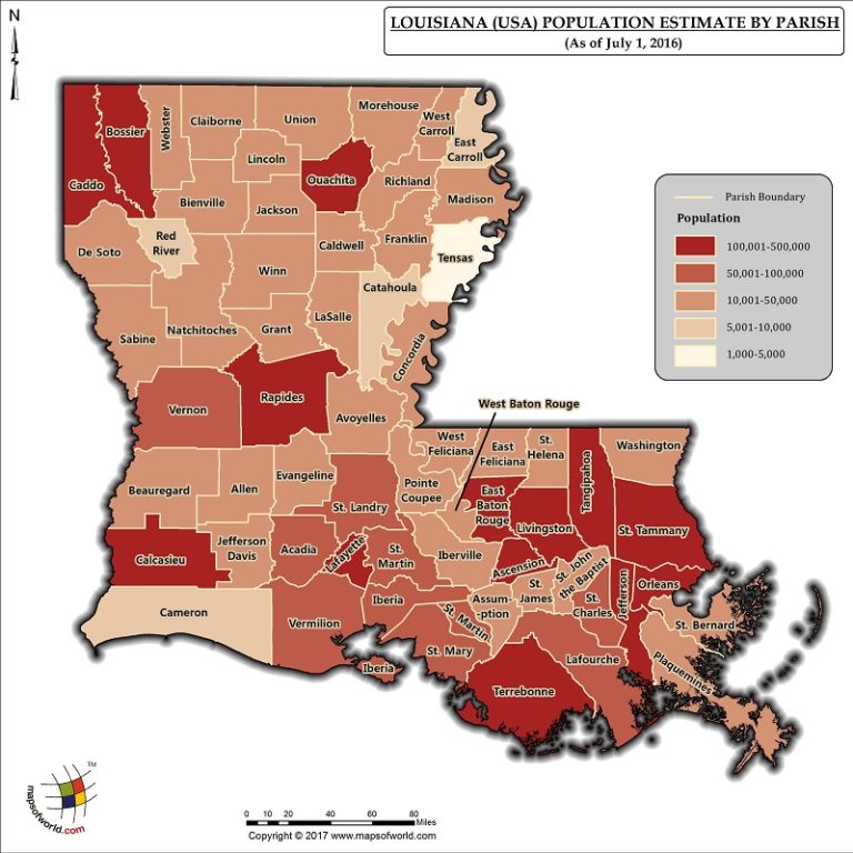 Louisiana Population Map Answers