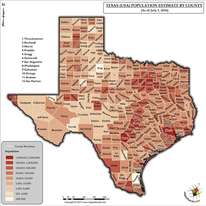 Houston Population 2024 By County And City Ricca Chloette