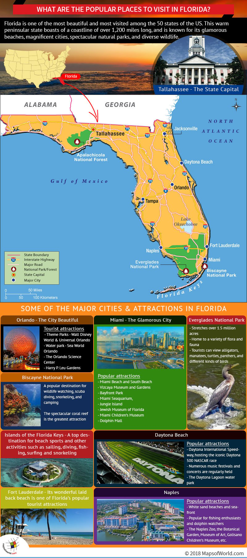 Infographic – Popular Places to Visit in Florida
